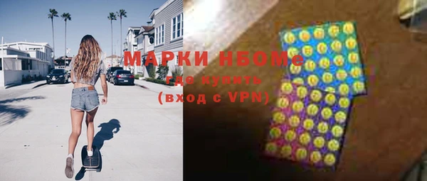 хмурый Абаза