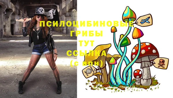 MESCALINE Покачи