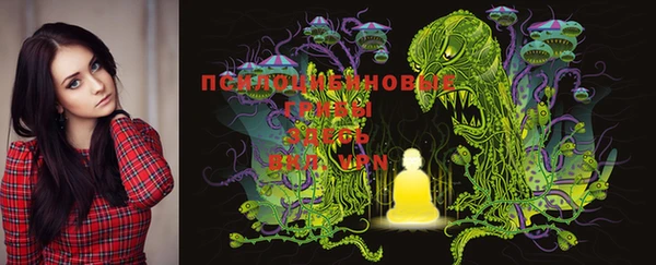 MESCALINE Покачи