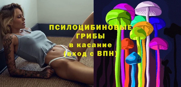 крисы Абинск