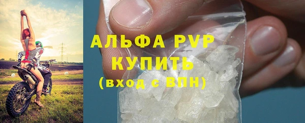 ГАЛЛЮЦИНОГЕННЫЕ ГРИБЫ Покровск