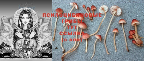 MESCALINE Покачи