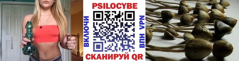 Псилоцибиновые грибы Psilocybe  blacksprut ТОР  Кяхта 
