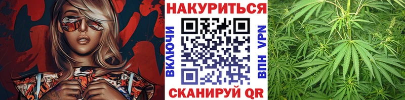 Шишки марихуана OG Kush Кяхта